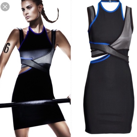 alexander wang h&m dress